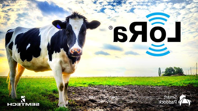 Semtech宣布LoRaWAN®集成智能围场的智能牛跟踪解决方案